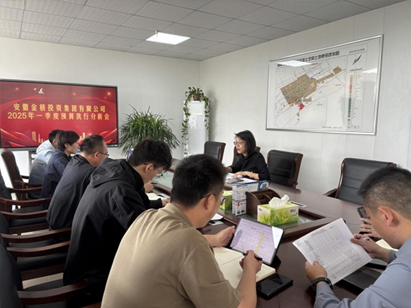 集团公司召开2025年一季度预算 执行情况分析会